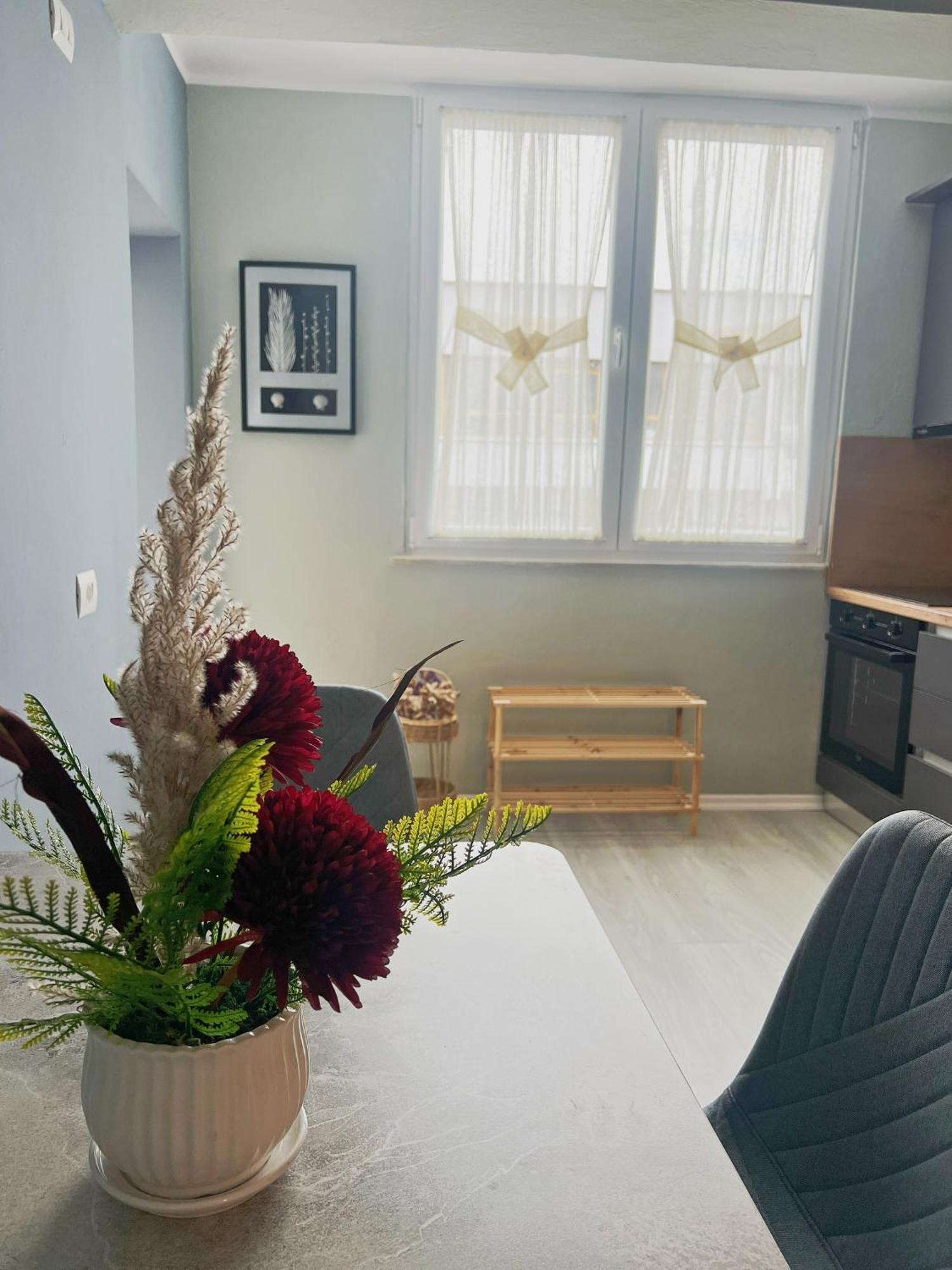 Joyful Apartment Тирана Экстерьер фото